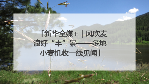 新华全媒+｜风吹麦浪好“丰”景——多地小麦机收一线见闻