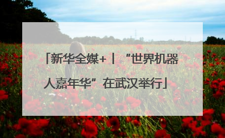 新华全媒+丨“世界机器人嘉年华”在武汉举行