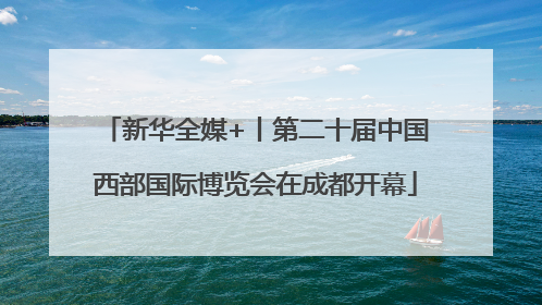新华全媒+丨第二十届中国西部国际博览会在成都开幕