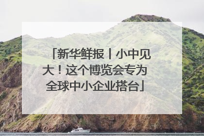 新华鲜报丨小中见大！这个博览会专为全球中小企业搭台