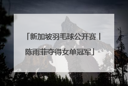 新加坡羽毛球公开赛丨陈雨菲夺得女单冠军