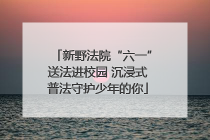 新野法院“六一”送法进校园 沉浸式普法守护少年的你
