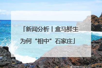 新闻分析丨盒马鲜生为何“相中”石家庄