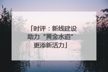 时评：新线建设助力“黄金水道”更添新活力