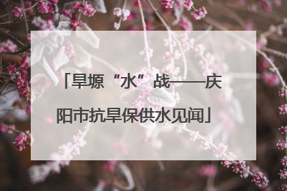 旱塬“水”战——庆阳市抗旱保供水见闻