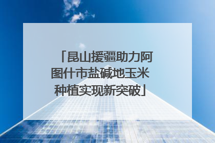 昆山援疆助力阿图什市盐碱地玉米种植实现新突破
