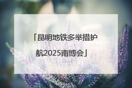 昆明地铁多举措护航2025南博会
