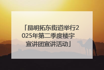 昆明拓东街道举行2025年第二季度楼宇宣讲团宣讲活动