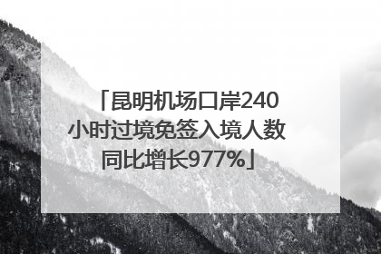 昆明机场口岸240小时过境免签入境人数同比增长977%
