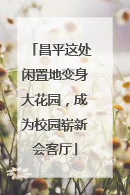 昌平这处闲置地变身大花园，成为校园崭新会客厅