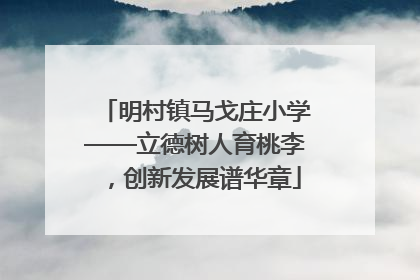 明村镇马戈庄小学——立德树人育桃李，创新发展谱华章
