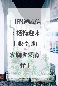 昭通威信：杨梅迎来丰收季 助农增收采摘忙