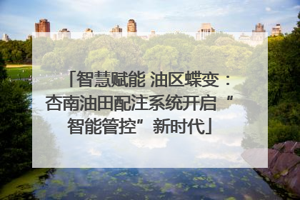 智慧赋能 油区蝶变：杏南油田配注系统开启“智能管控”新时代