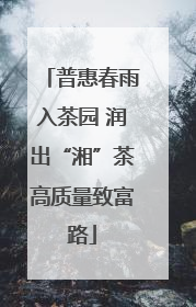 普惠春雨入茶园 润出“湘”茶高质量致富路