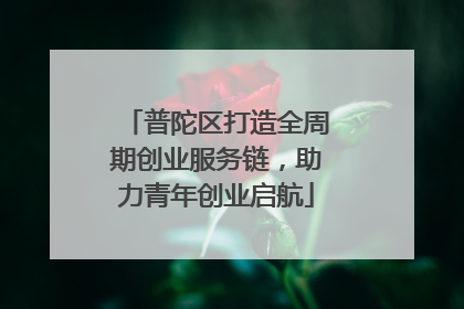 普陀区打造全周期创业服务链，助力青年创业启航