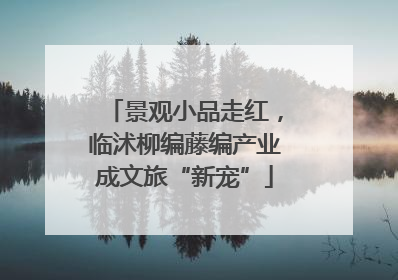 景观小品走红，临沭柳编藤编产业成文旅“新宠”