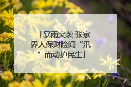 暴雨突袭 张家界人保财险闻“汛”而动护民生
