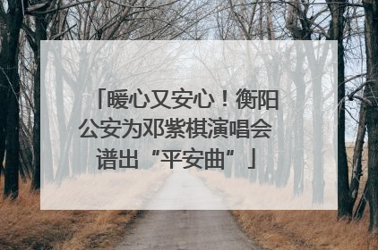 暖心又安心！衡阳公安为邓紫棋演唱会谱出“平安曲”