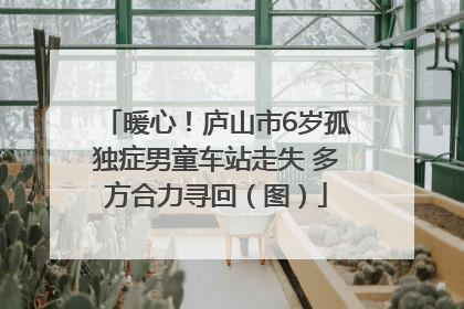 暖心！庐山市6岁孤独症男童车站走失 多方合力寻回（图）