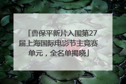 曹保平新片入围第27届上海国际电影节主竞赛单元，全名单揭晓