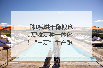 机械烘干稳粮仓，夏收夏种一体化！“三夏”生产跑出加速度｜麦报