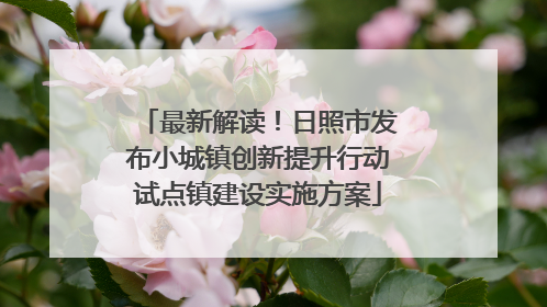 最新解读！日照市发布小城镇创新提升行动试点镇建设实施方案