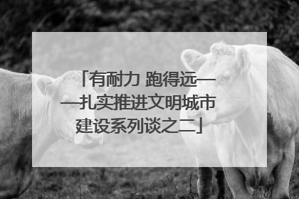 有耐力 跑得远——扎实推进文明城市建设系列谈之二