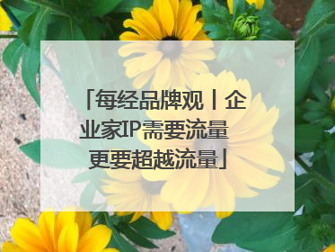 每经品牌观丨企业家IP需要流量 更要超越流量