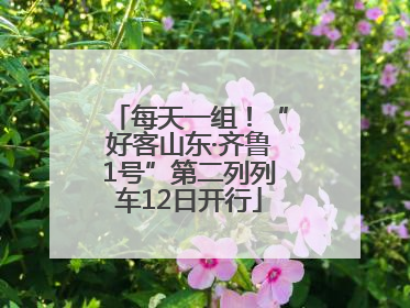 每天一组！“好客山东·齐鲁1号”第二列列车12日开行