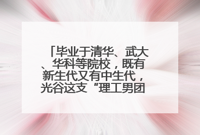 毕业于清华、武大、华科等院校，既有新生代又有中生代，光谷这支“理工男团”为何“出道”？