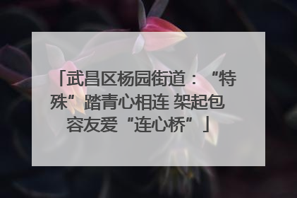 武昌区杨园街道：“特殊”踏青心相连 架起包容友爱“连心桥”