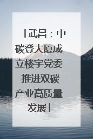 武昌：中碳登大厦成立楼宇党委 推进双碳产业高质量发展