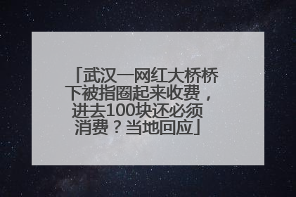 武汉一网红大桥桥下被指圈起来收费，进去100块还必须消费？当地回应