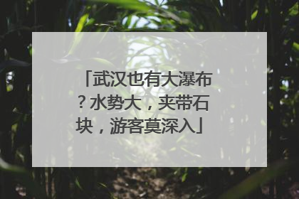 武汉也有大瀑布？水势大，夹带石块，游客莫深入