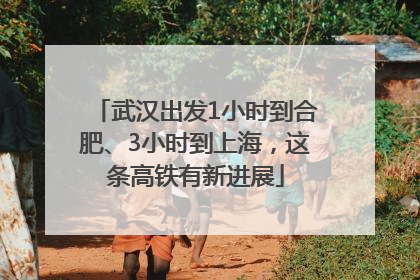 武汉出发1小时到合肥、3小时到上海，这条高铁有新进展