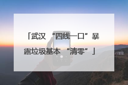 武汉 “四线一口”暴露垃圾基本 “清零”
