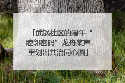 武锅社区的端午“睦邻密码”龙舟桨声里划出共治同心圆