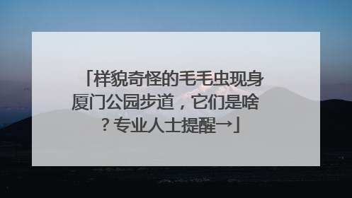 样貌奇怪的毛毛虫现身厦门公园步道，它们是啥？专业人士提醒→