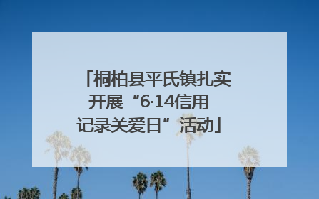 桐柏县平氏镇扎实开展“6·14信用记录关爱日”活动