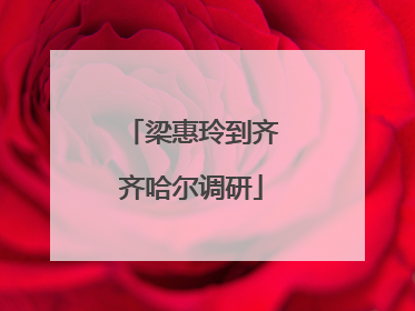 梁惠玲到齐齐哈尔调研