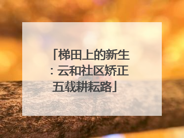 梯田上的新生：云和社区矫正五载耕耘路