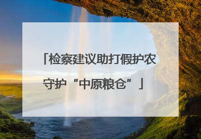 检察建议助打假护农守护“中原粮仓”