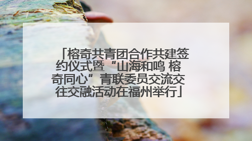 榕奇共青团合作共建签约仪式暨“山海和鸣 榕奇同心”青联委员交流交往交融活动在福州举行