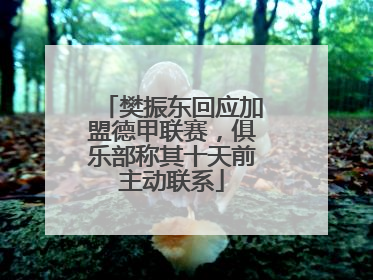 樊振东回应加盟德甲联赛，俱乐部称其十天前主动联系