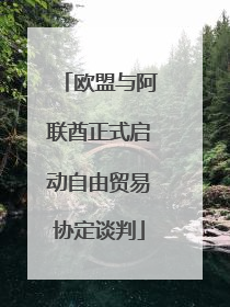 欧盟与阿联酋正式启动自由贸易协定谈判