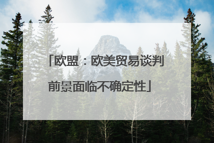 欧盟：欧美贸易谈判前景面临不确定性