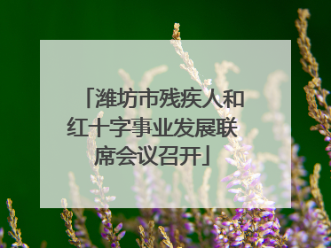 潍坊市残疾人和红十字事业发展联席会议召开