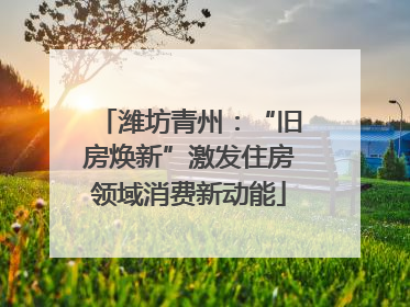 潍坊青州：“旧房焕新”激发住房领域消费新动能