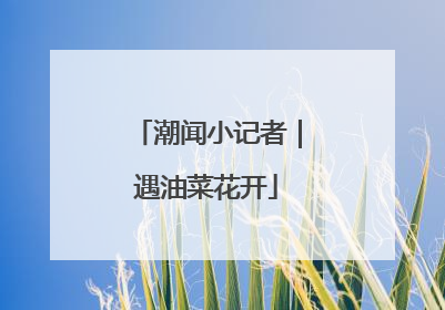 潮闻小记者｜遇油菜花开