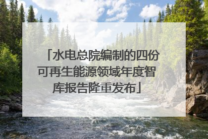 水电总院编制的四份可再生能源领域年度智库报告隆重发布